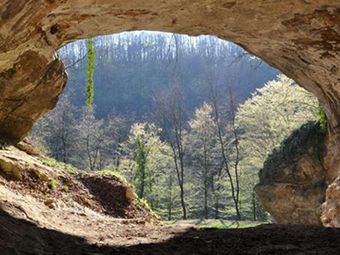 ДНК первобытных людей найдены в пещерной грязи