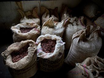 Беспорядки в Кот-д’Ивуаре подняли цены на какао