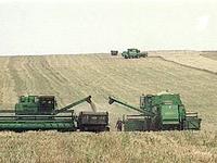 России пообещали крупнейший урожай зерновых за последние 15 лет