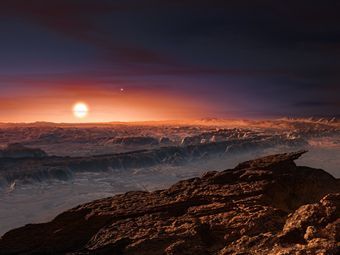 Астрофизики: Планета Proxima b может быть обитаемой 