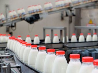 Красноярские ученые разработали препарат, повышающий пищевую ценность молока