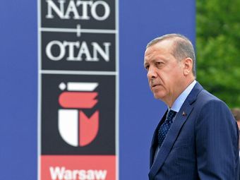 Конец турецкой игры: НАТО отказывается проводить саммит в Стамбуле