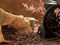 От зерна до чашки: находим лучшие оптовые поставки кофе