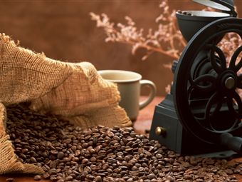 От зерна до чашки: находим лучшие оптовые поставки кофе
