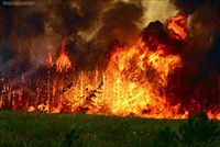 Лесные пожары охватили полстраны