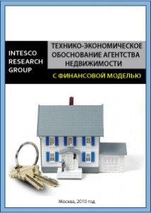 Технико-экономическое обоснование агентства недвижимости (с финансовой моделью)