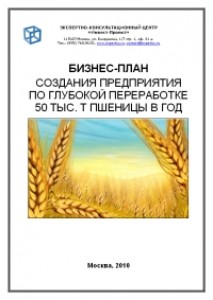 Бизнес-план предприятия по глубокой переработке 50 тыс. Т пшеницы в год