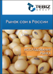 Рынок сои в России 2008 -  1 полугод. 2012 гг. и прогноз до 2020 года