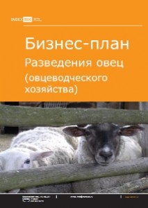 Бизнес-план разведения овец (овцеводческого хозяйства)