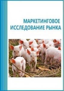 Анализ рынка свиноводства в России (с предоставлением базы импортно-экспортных операций)