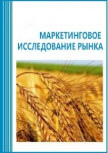 Анализ рынка зерновых культур в России