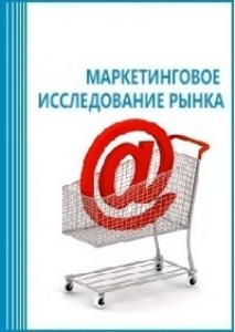 Анализ рынка торговли через интернет-магазины в России (включая прогноз до 2019 г.)