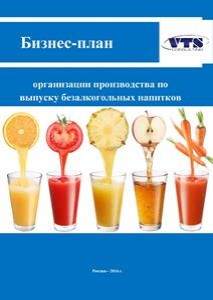 Бизнес-план организации производства по выпуску безалкогольных напитков (компоты фруктовые и соки)