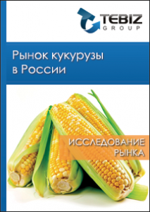 Рынок кукурузы в России - 2016. Показатели и прогнозы